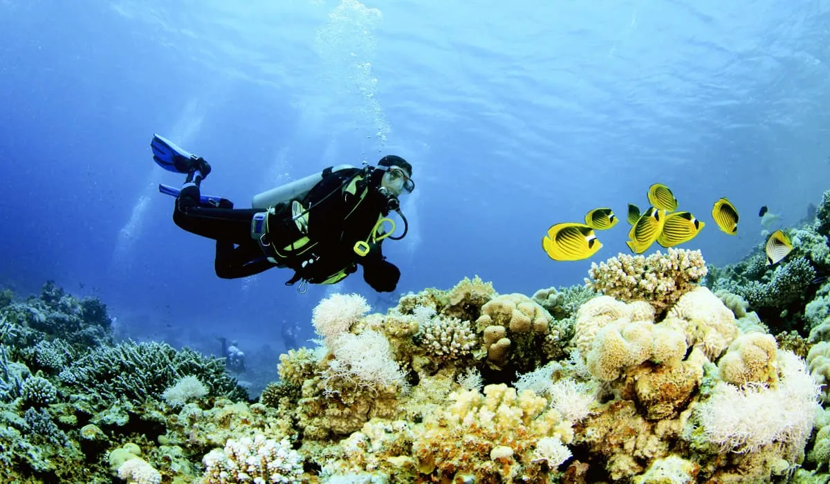 Аквалангист исследует подводный мир на курорте в Паттайя. 